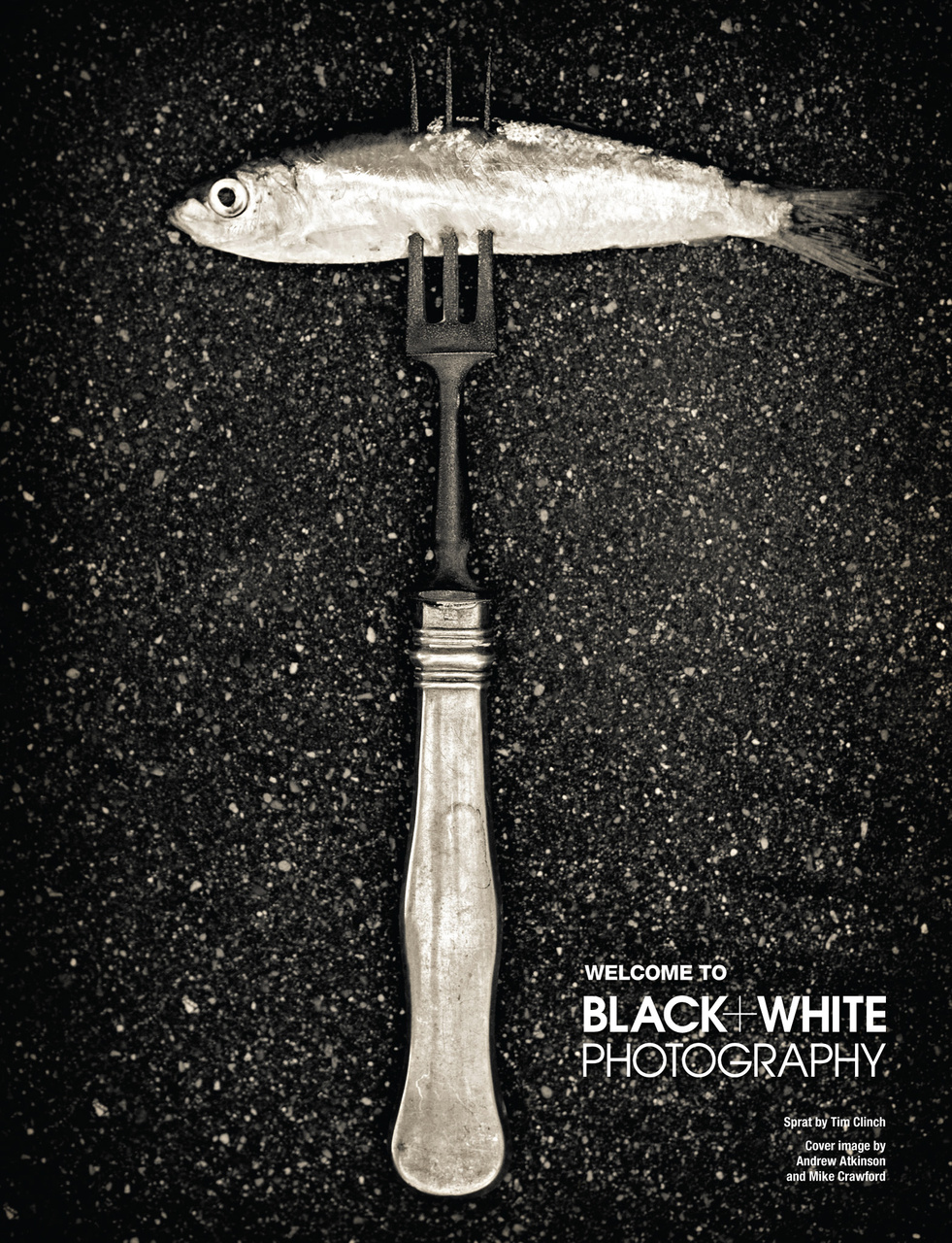 Black+White Photography Preview Pages