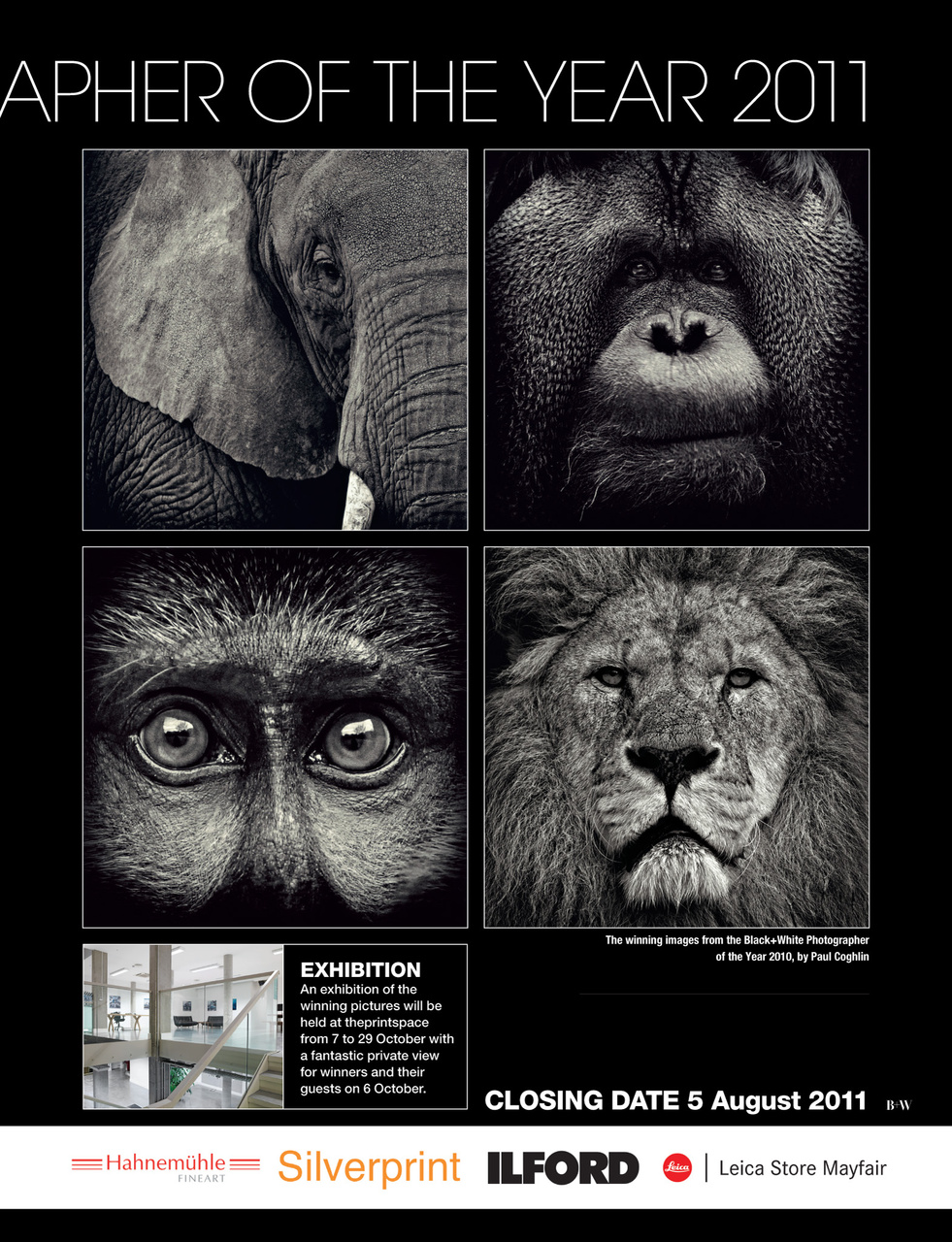 Black+White Photography Preview Pages