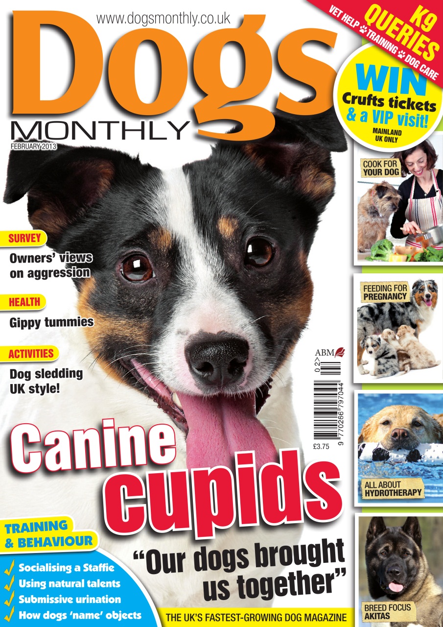 Dogs Monthly Preview Pages