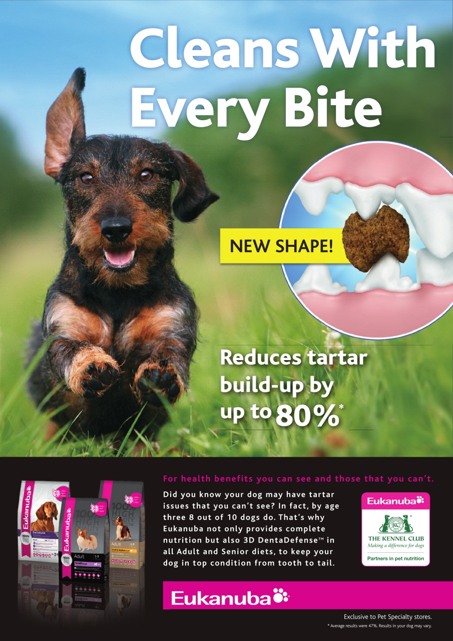 Dogs Monthly Preview Pages