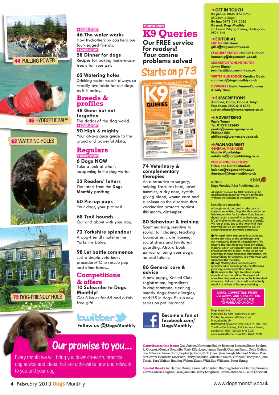 Dogs Monthly Preview Pages
