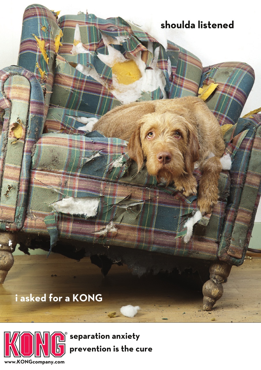 Dogs Monthly Preview Pages