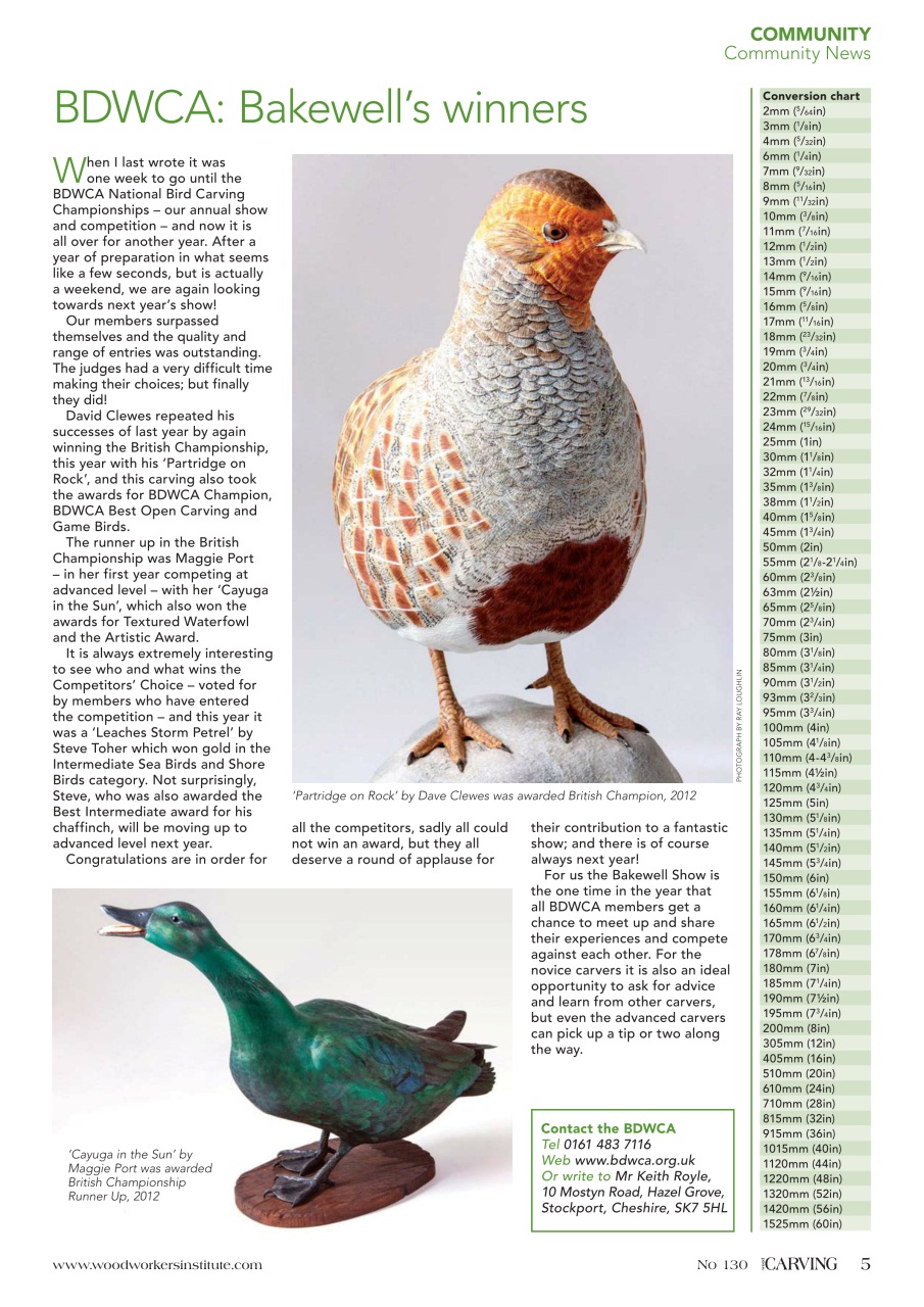 Woodcarving Preview Pages