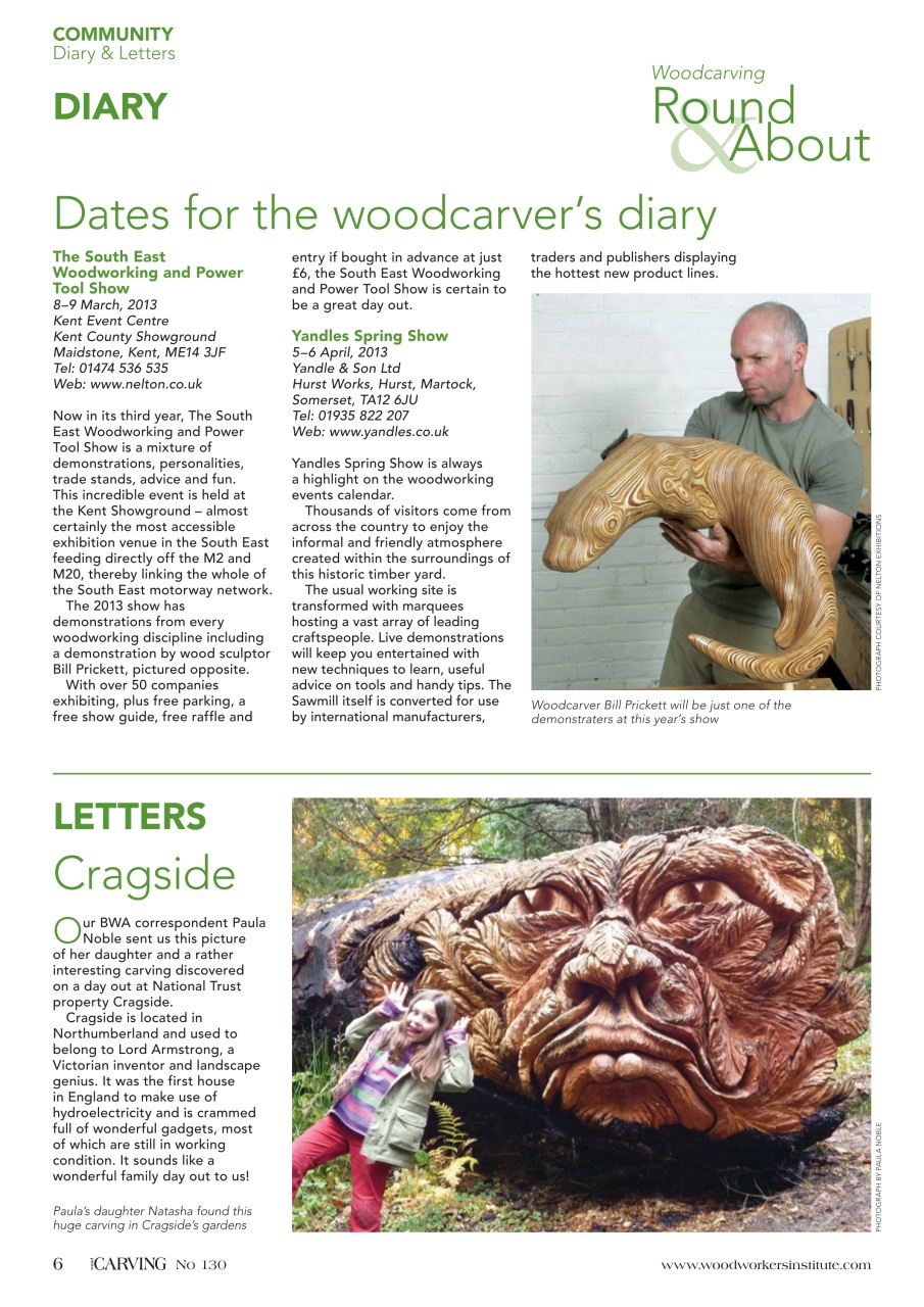 Woodcarving Preview Pages