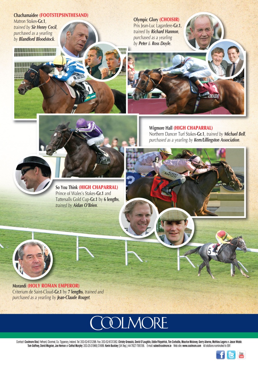 The Owner Breeder Preview Pages