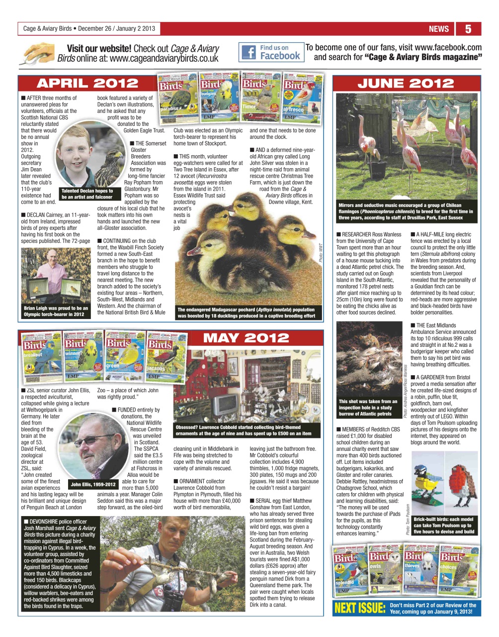 Cage & Aviary Birds Preview Pages