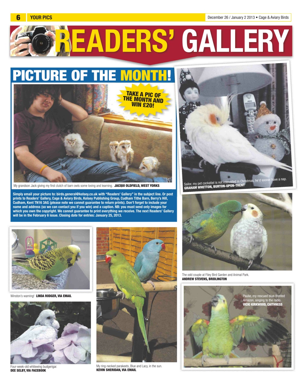 Cage & Aviary Birds Preview Pages