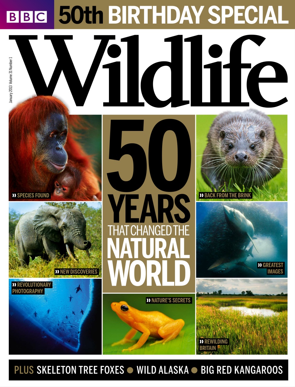 BBC Wildlife Magazine Preview Pages