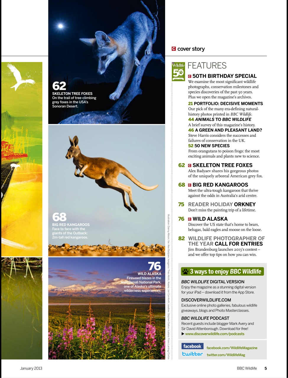 BBC Wildlife Magazine Preview Pages