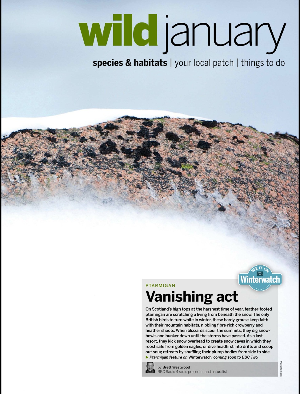 BBC Wildlife Magazine Preview Pages