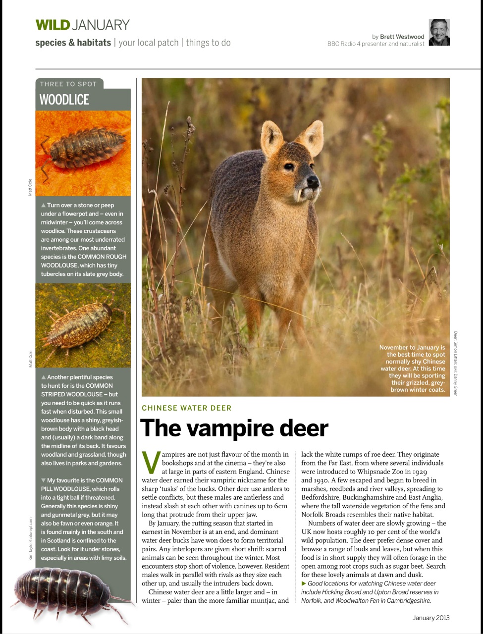 BBC Wildlife Magazine Preview Pages