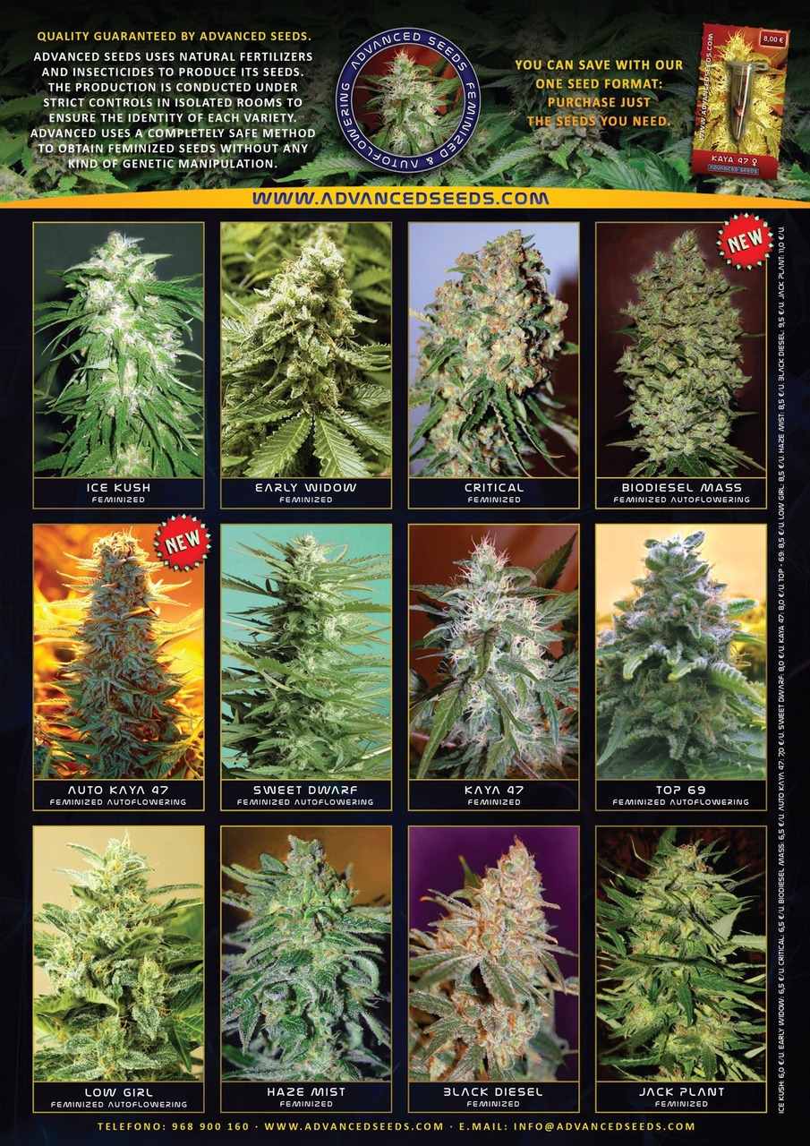 Weed World Preview Pages