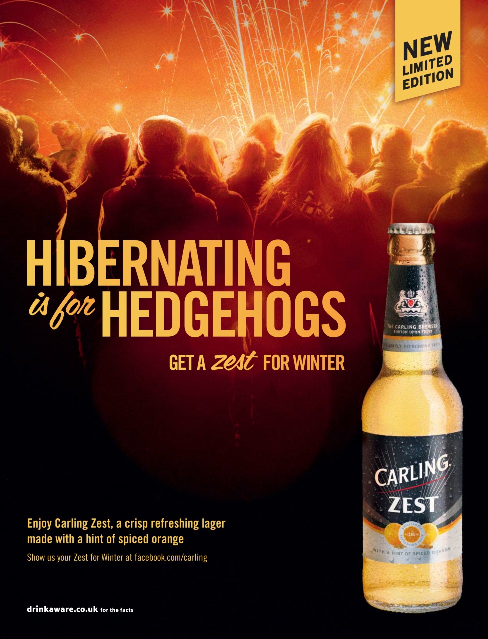 Attitude Preview Pages