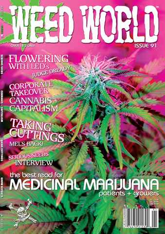 Weed World issue Issue 91