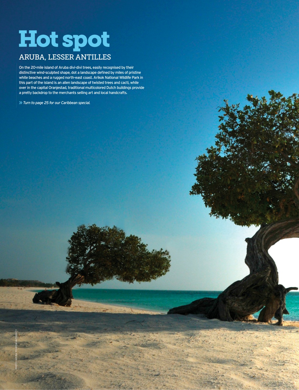 Cruise & Travel Preview Pages