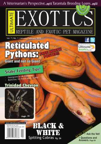 Ultimate Exotics issue January-February 2013