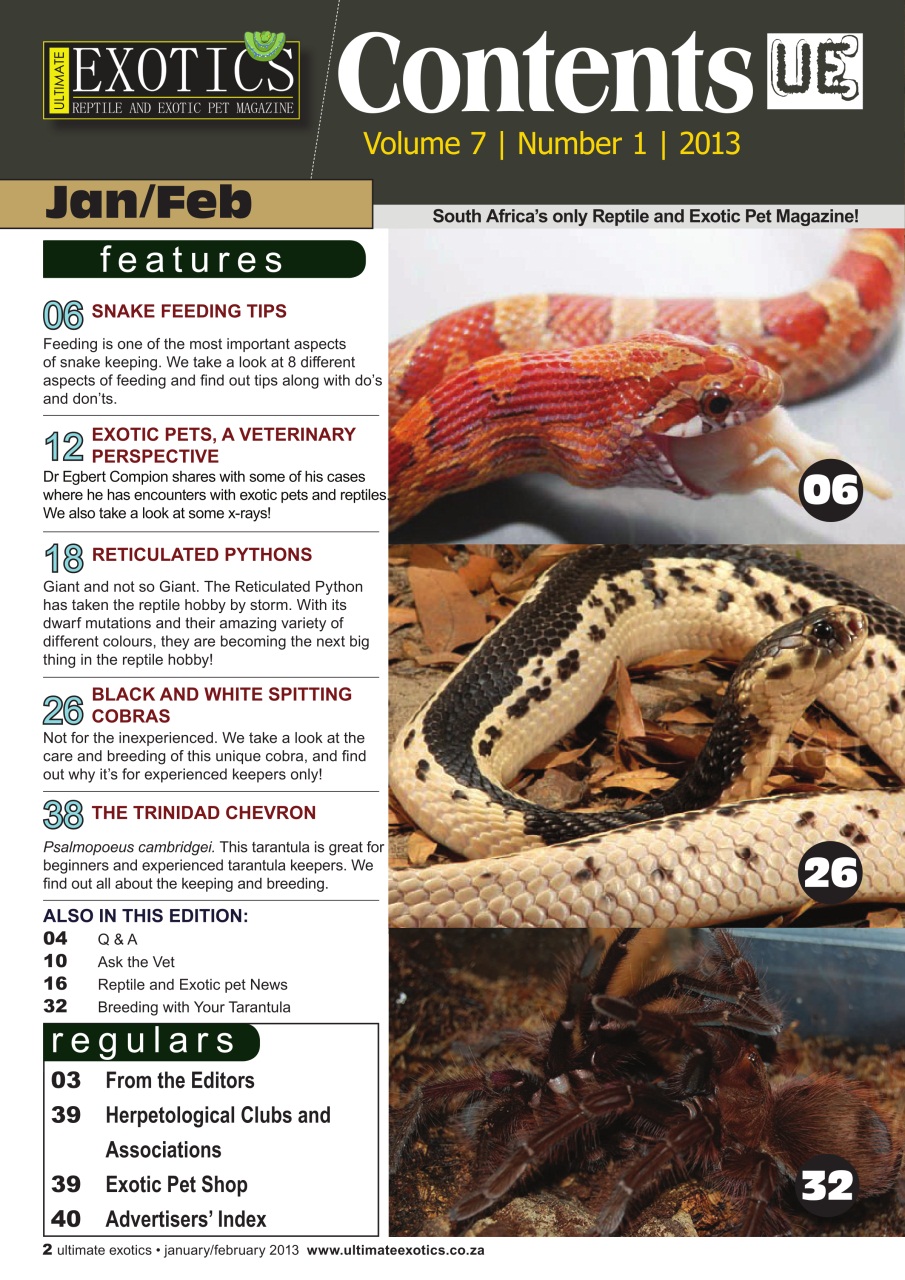 Ultimate Exotics Preview Pages