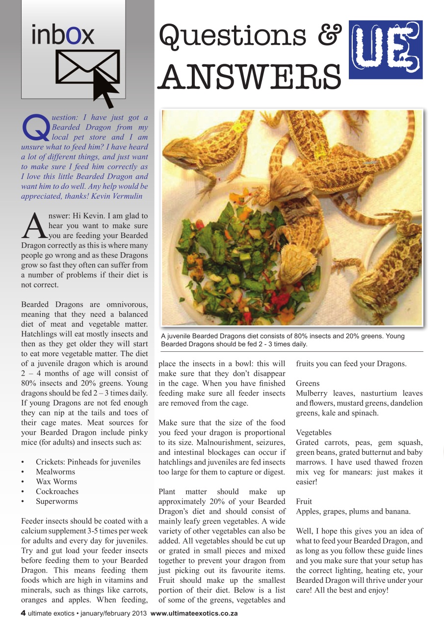 Ultimate Exotics Preview Pages