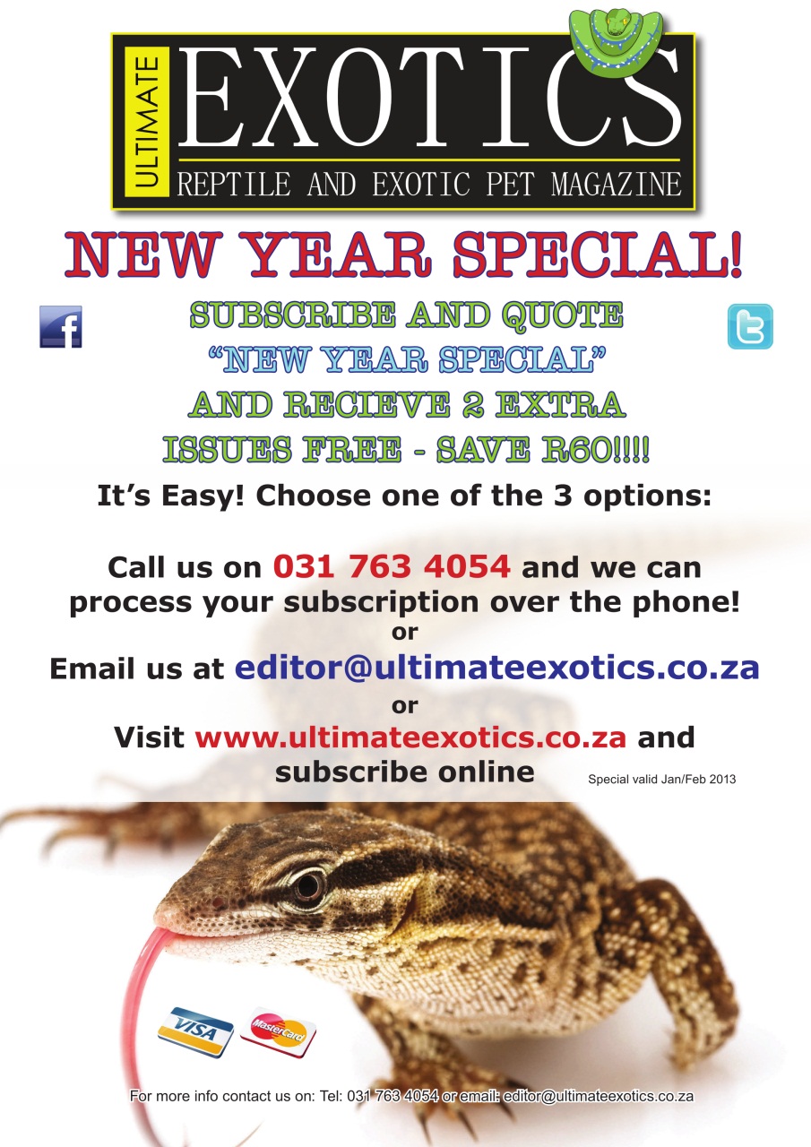 Ultimate Exotics Preview Pages