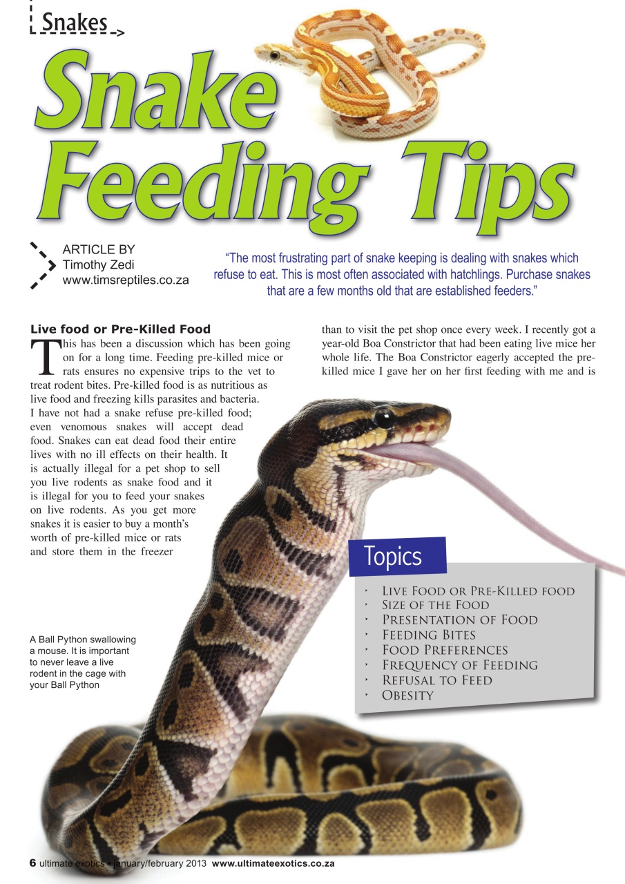 Ultimate Exotics Preview Pages