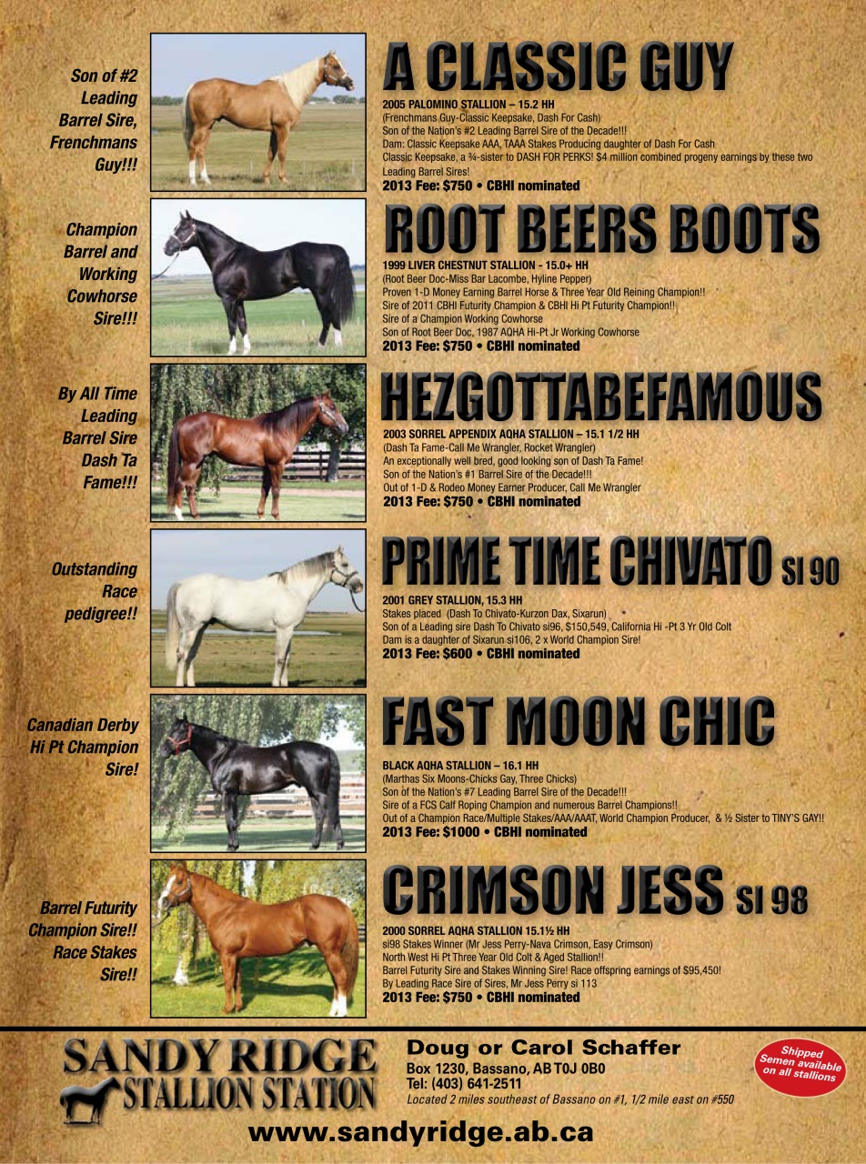 Western Horse Review Preview Pages