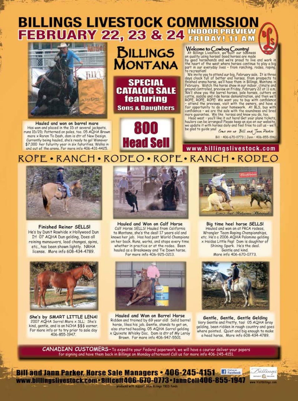 Western Horse Review Preview Pages