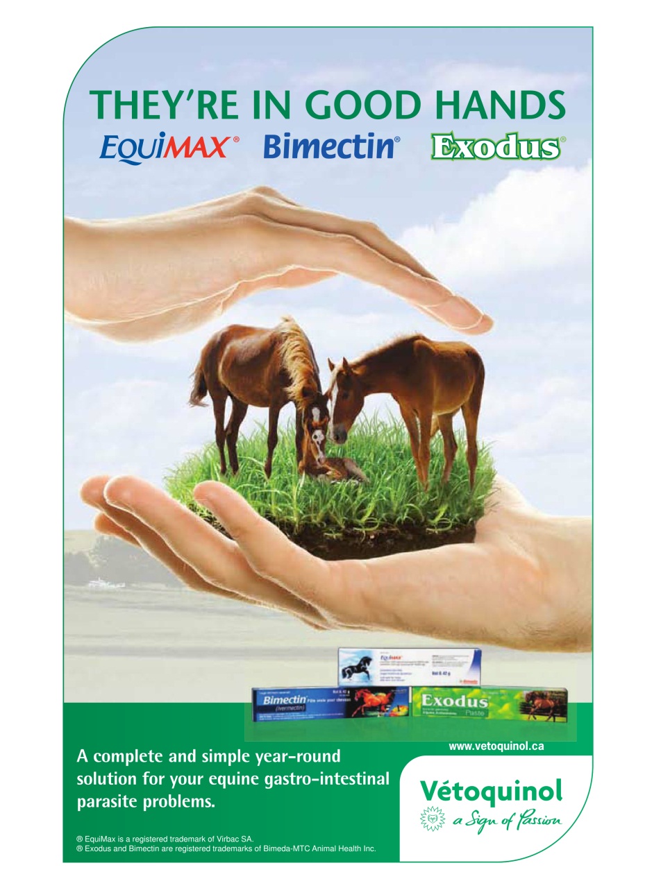 Western Horse Review Preview Pages