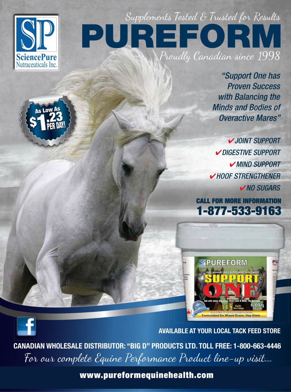 Western Horse Review Preview Pages