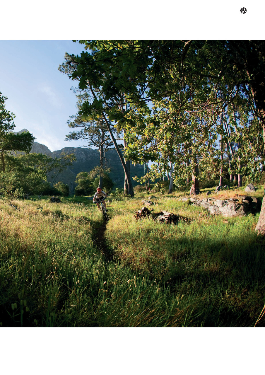 Singletrack Preview Pages