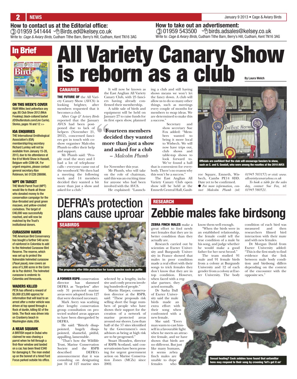 Cage & Aviary Birds Preview Pages