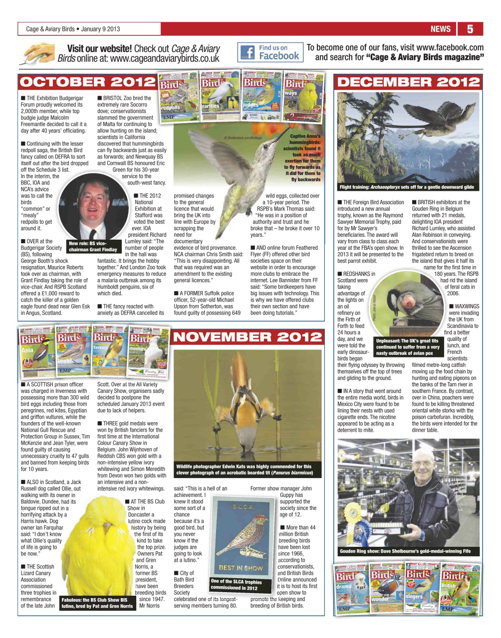 Cage & Aviary Birds Preview Pages