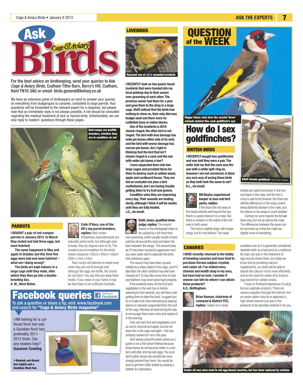 Cage & Aviary Birds Preview Pages