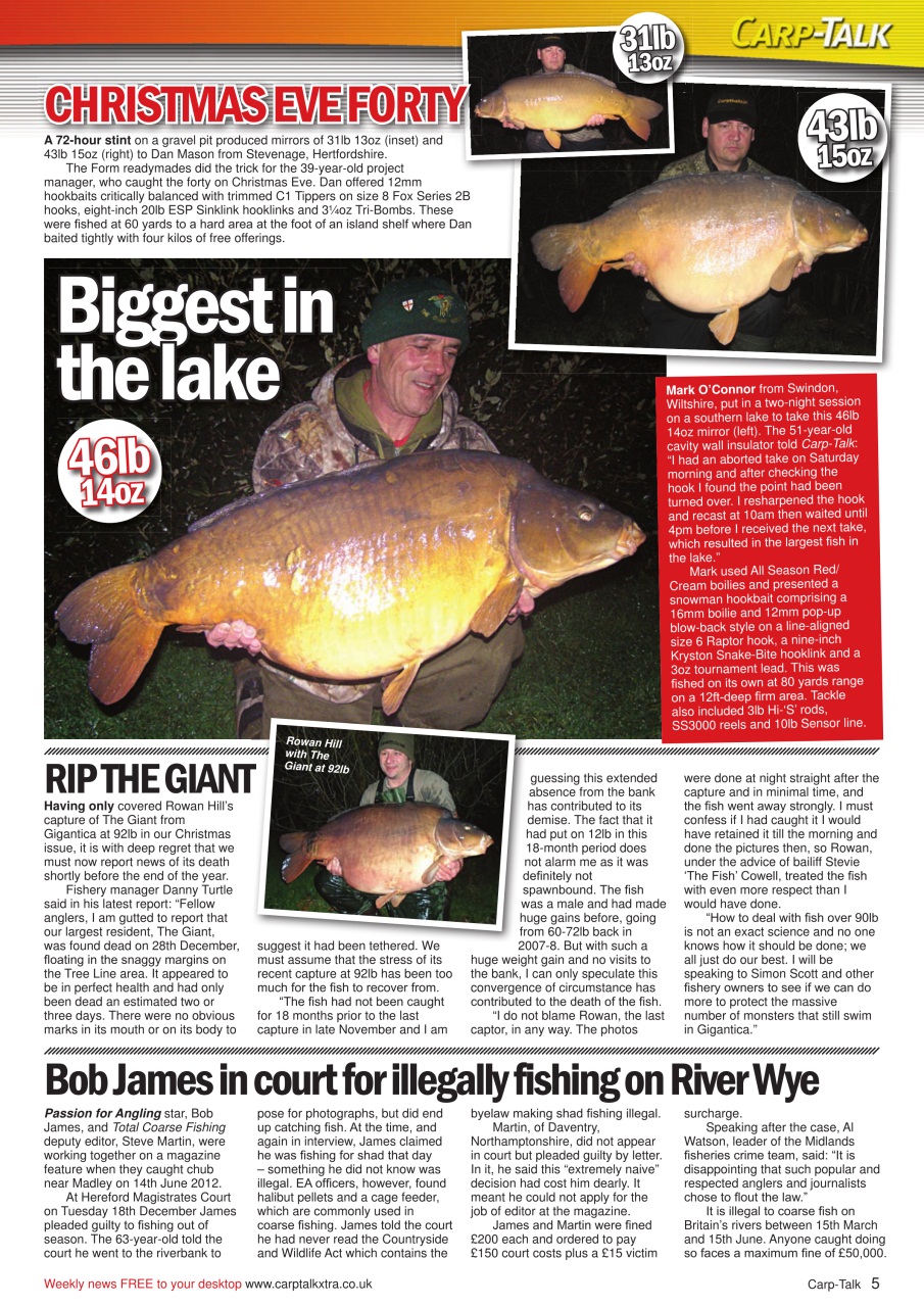 Carp-Talk Preview Pages