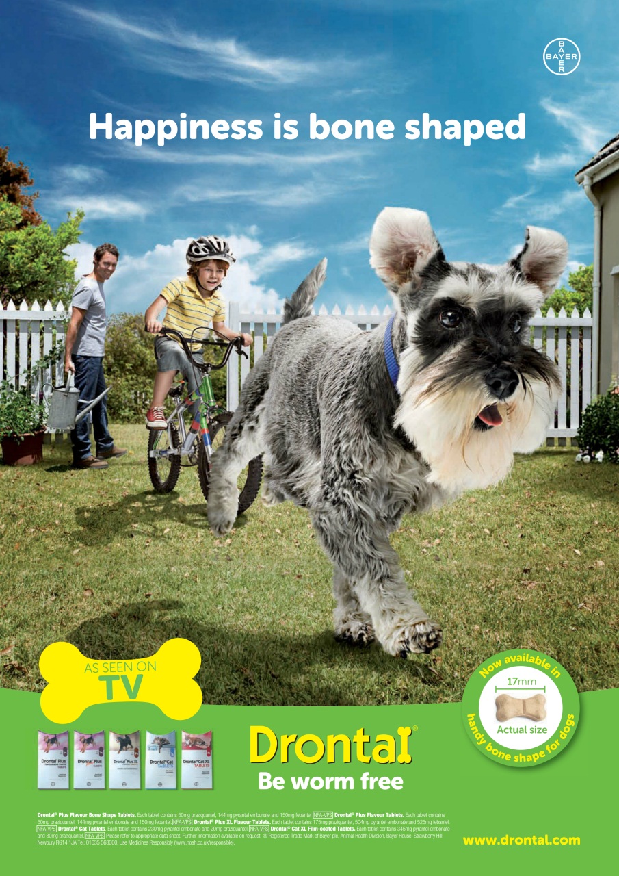 Your Dog Preview Pages