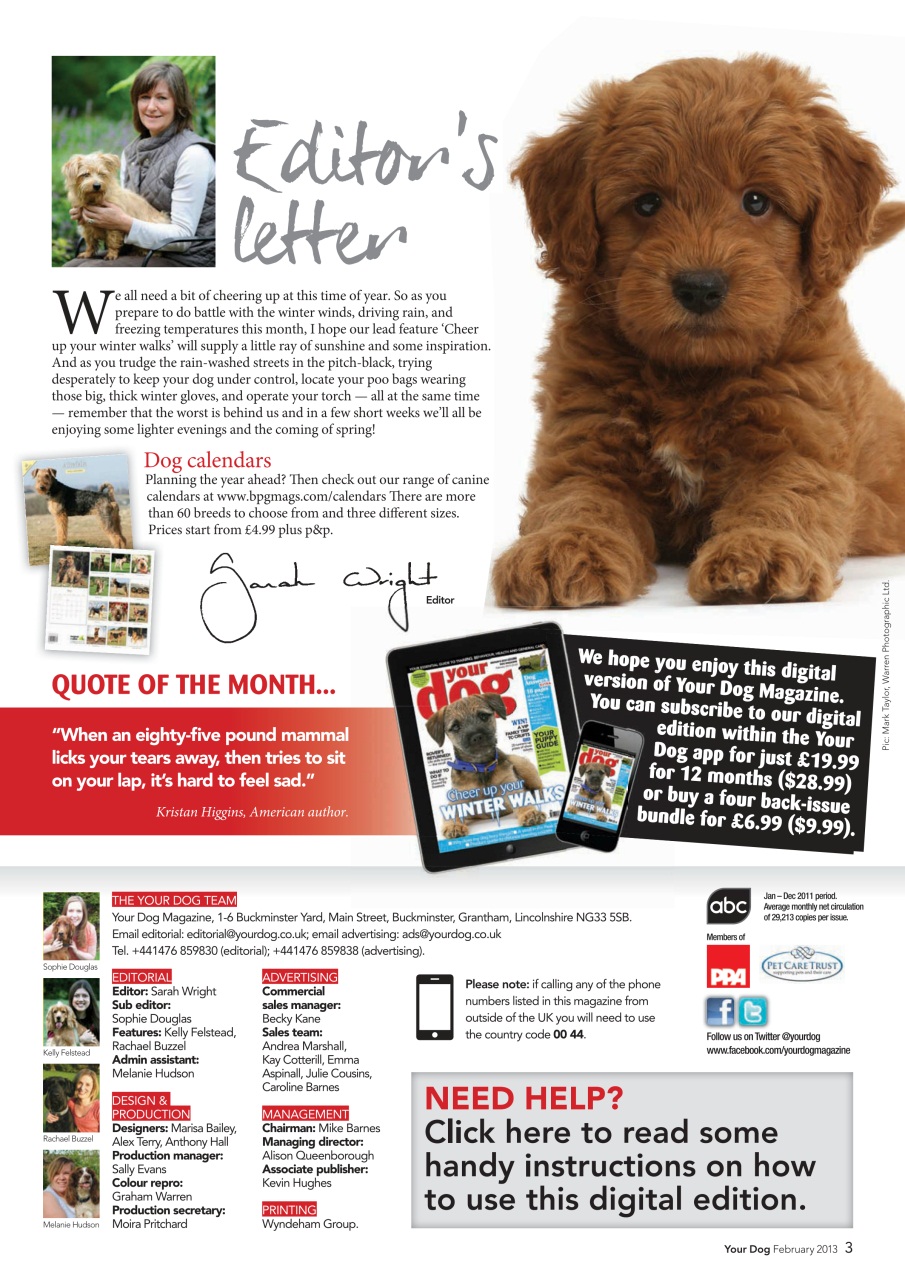 Your Dog Preview Pages
