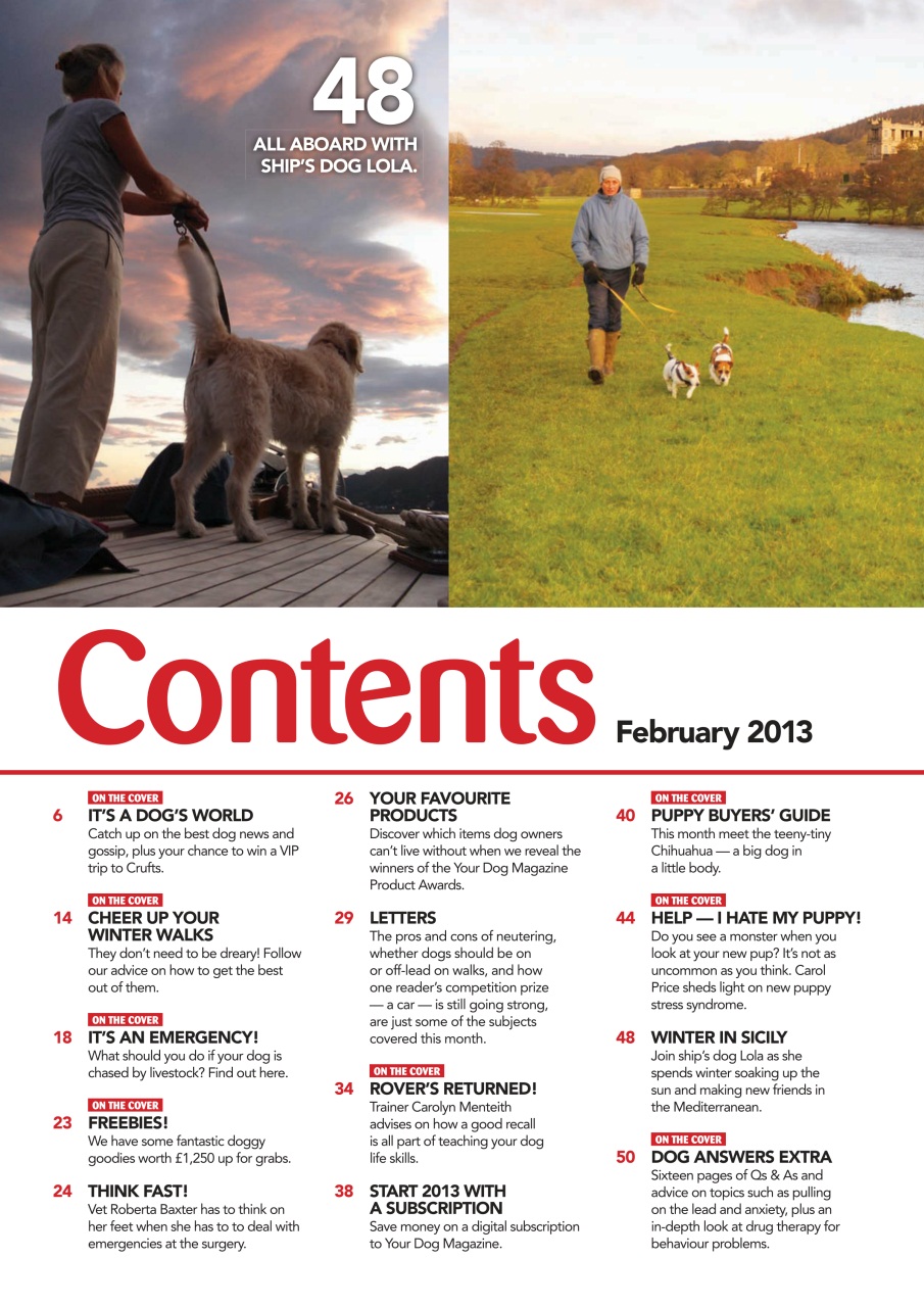 Your Dog Preview Pages