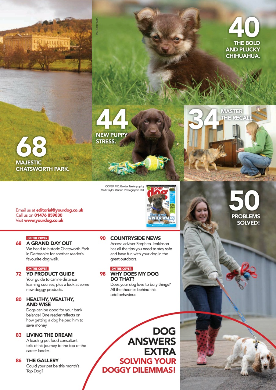 Your Dog Preview Pages