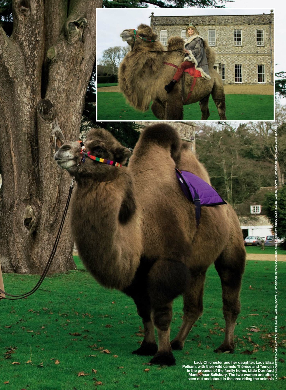 Hello! Magazine Preview Pages