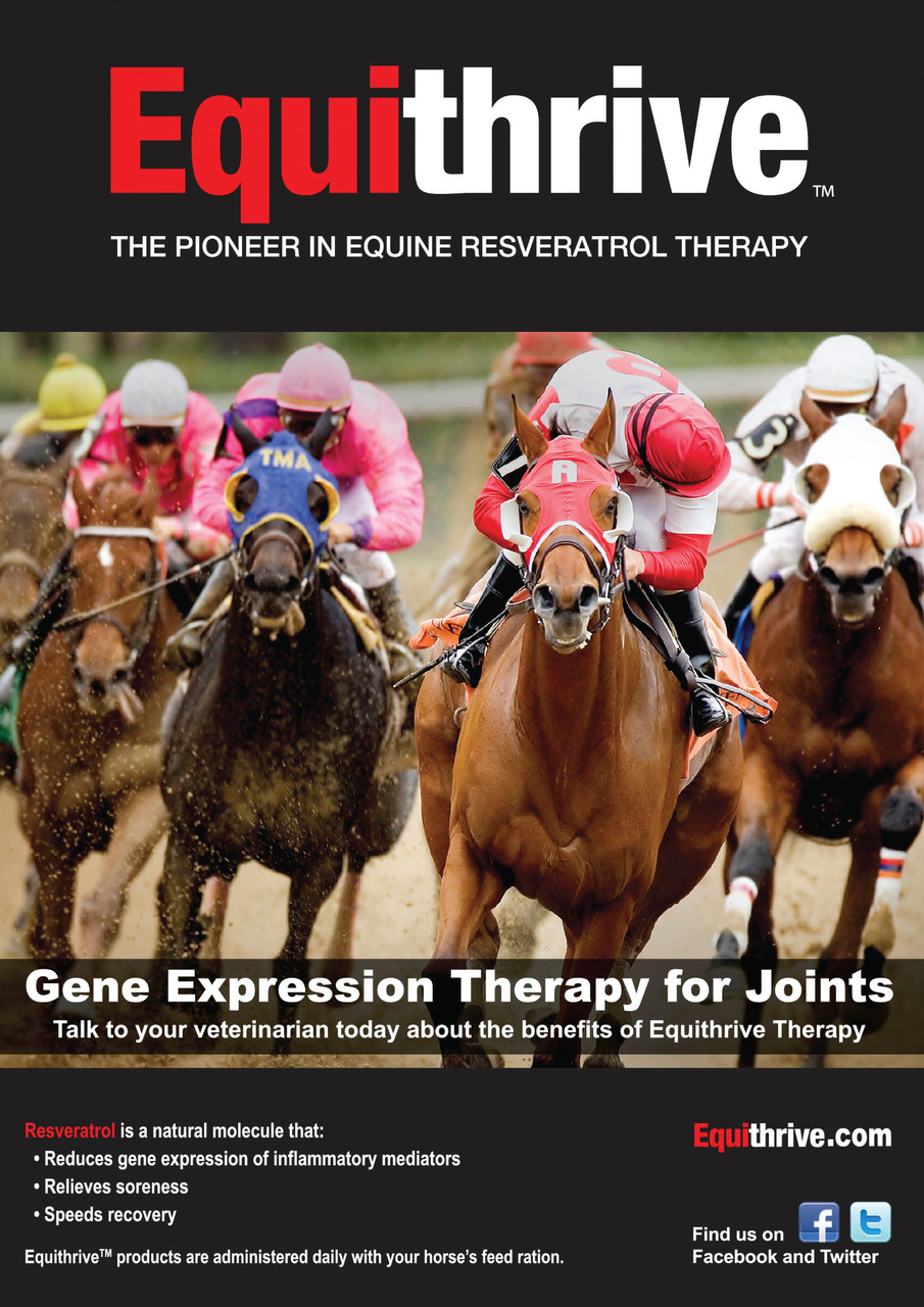 North American Trainer Magazine - horse racing Preview Pages