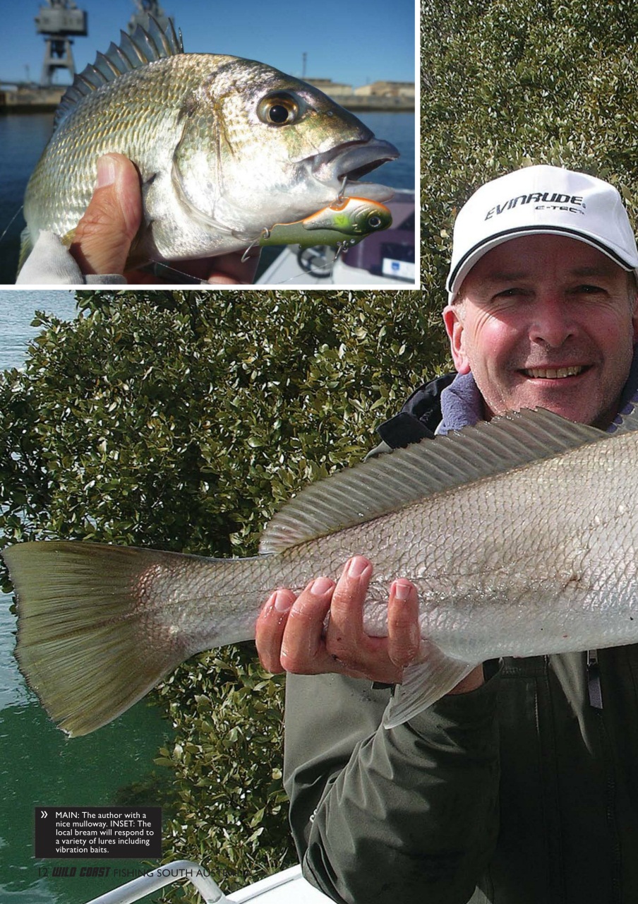 Fishing SA Preview Pages