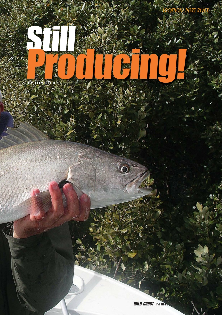 Fishing SA Preview Pages