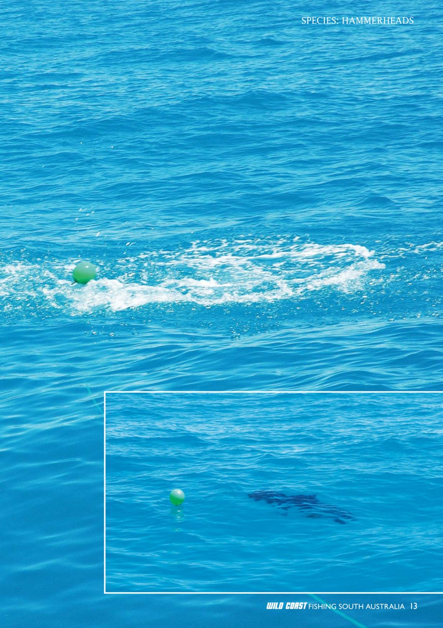 Fishing SA Preview Pages