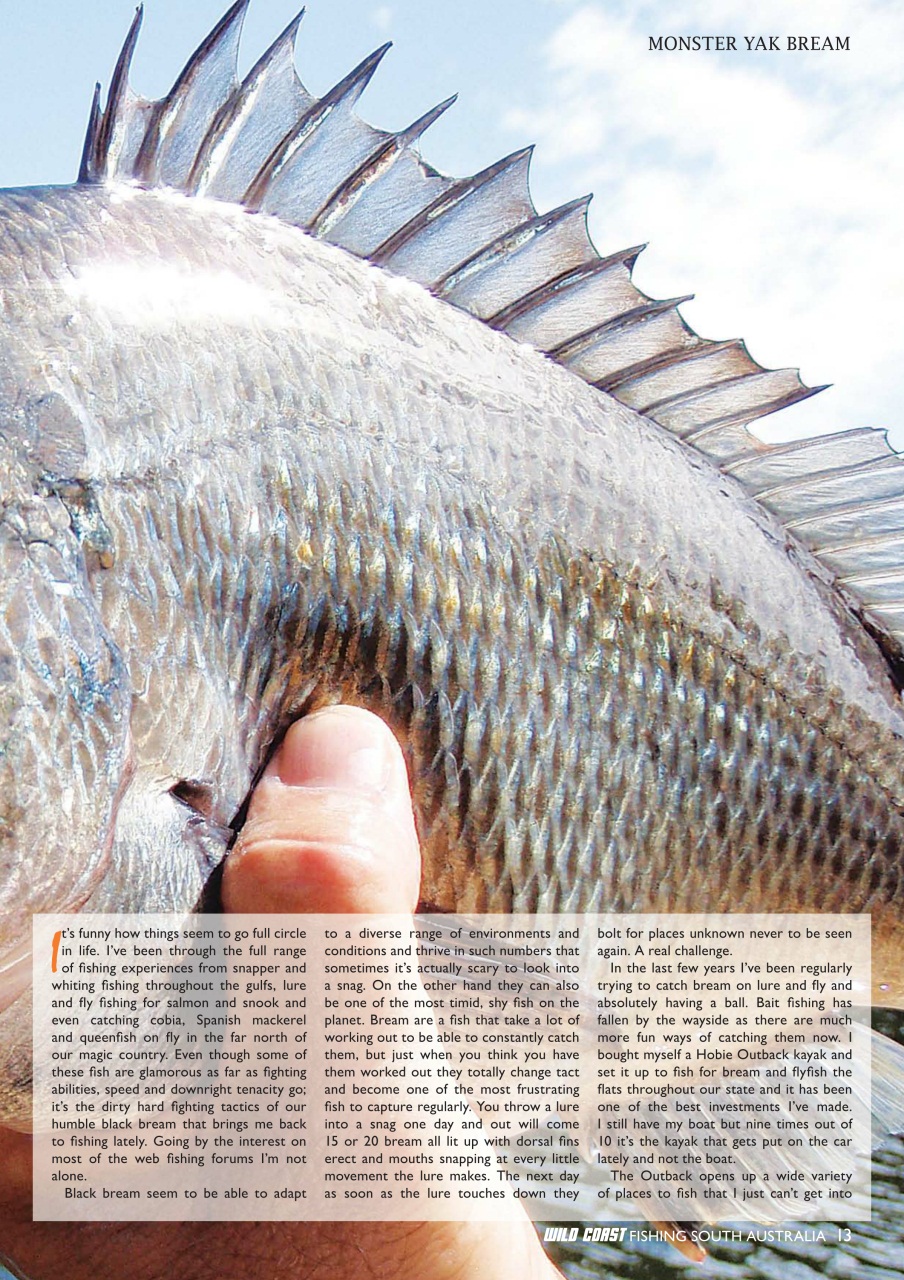 Fishing SA Preview Pages