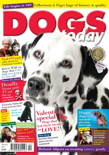 Dogs Today Magazine issue 
