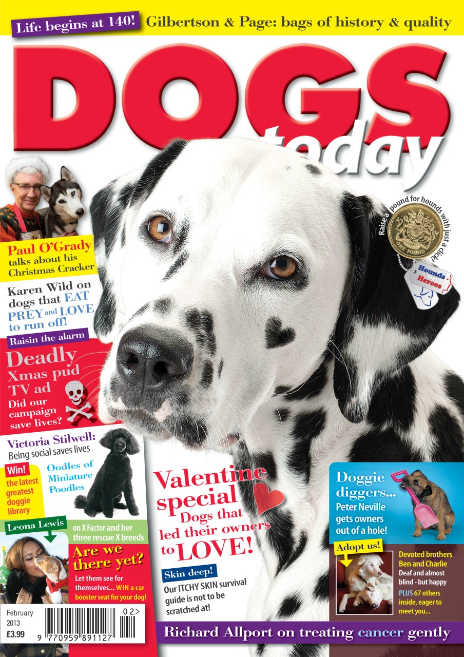 Dogs Today Magazine Preview Pages