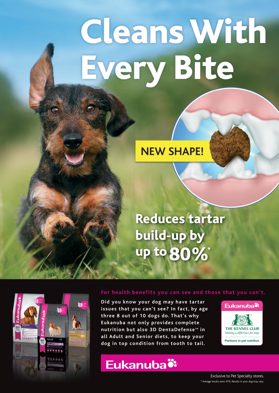 Dogs Today Magazine Preview Pages