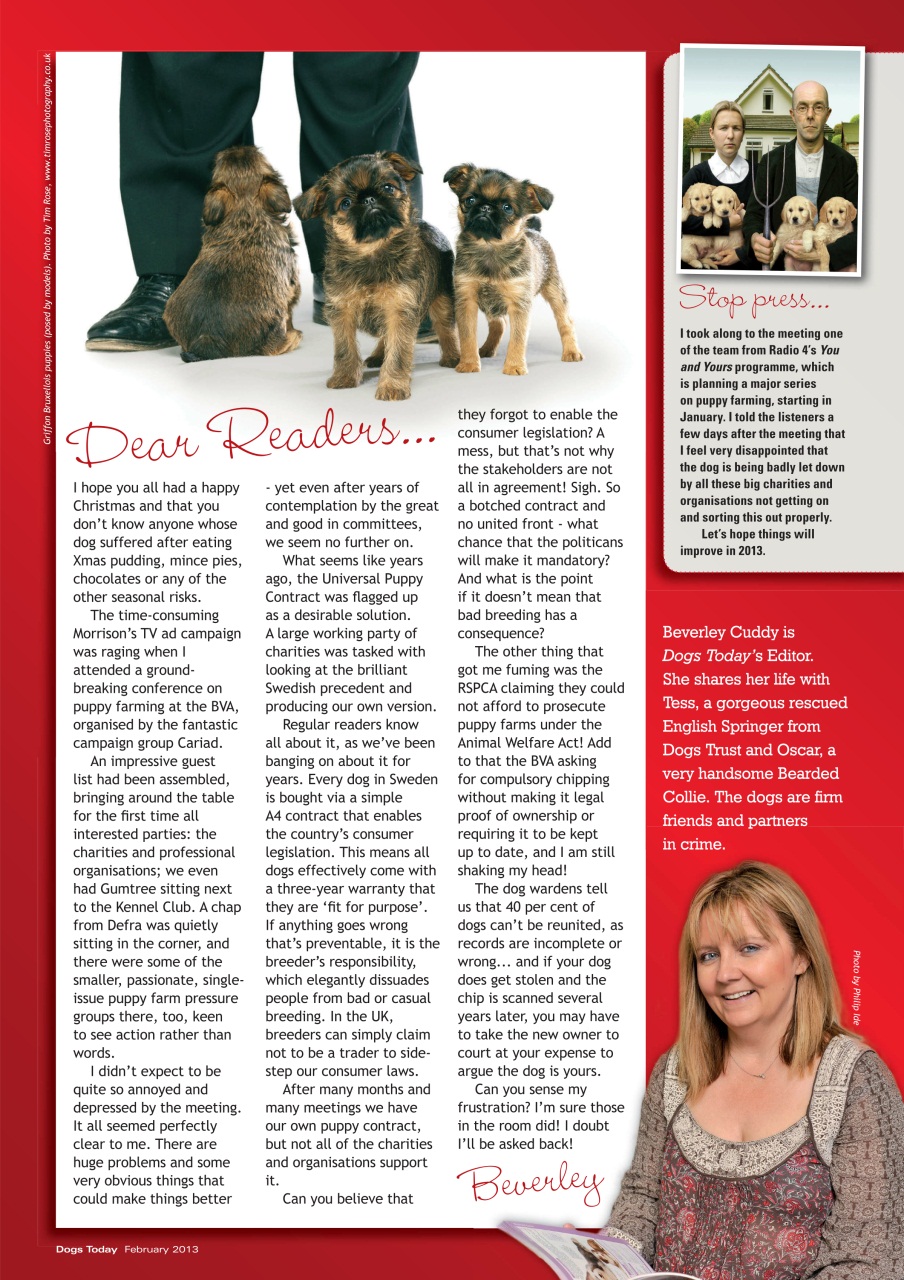Dogs Today Magazine Preview Pages