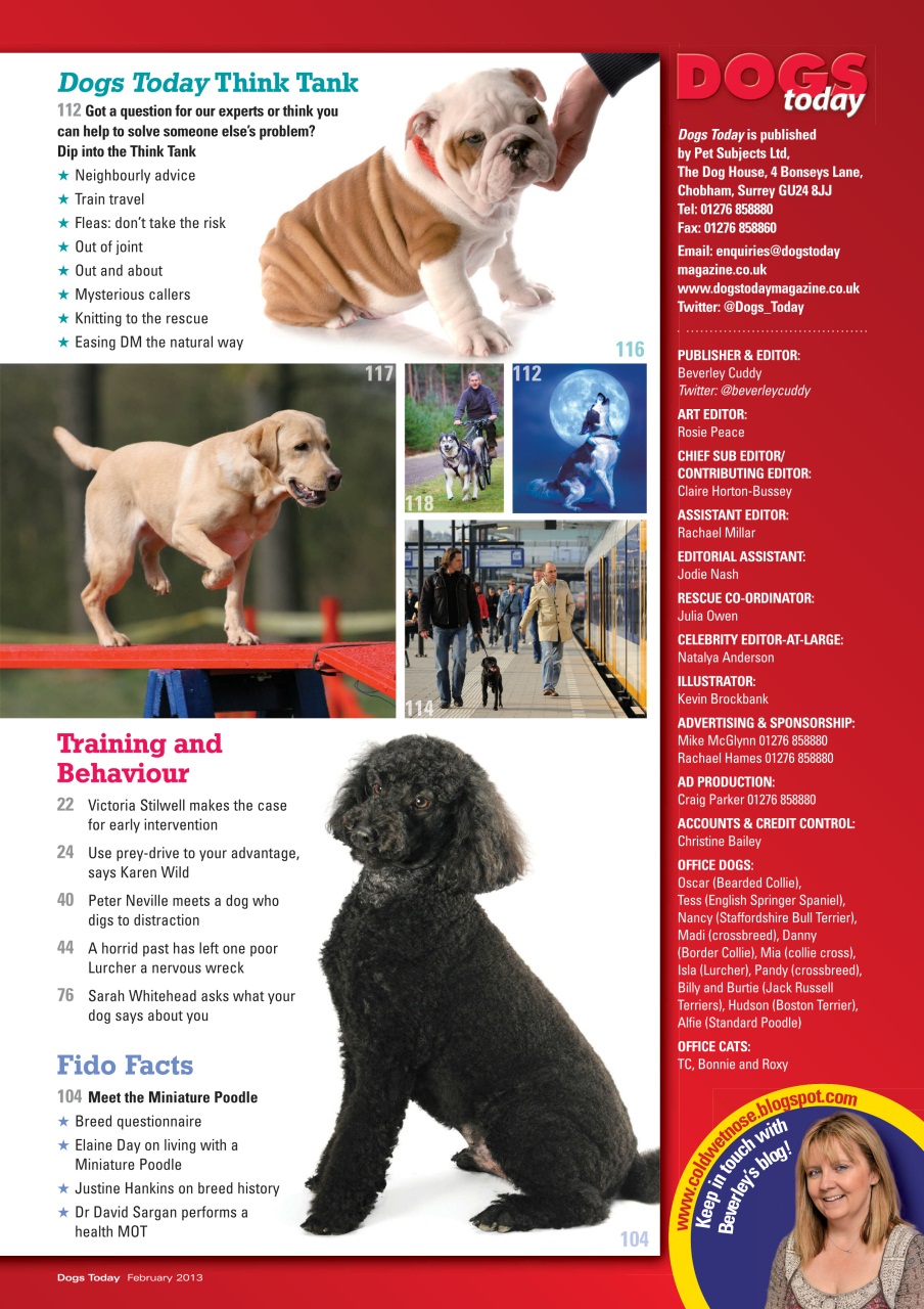 Dogs Today Magazine Preview Pages