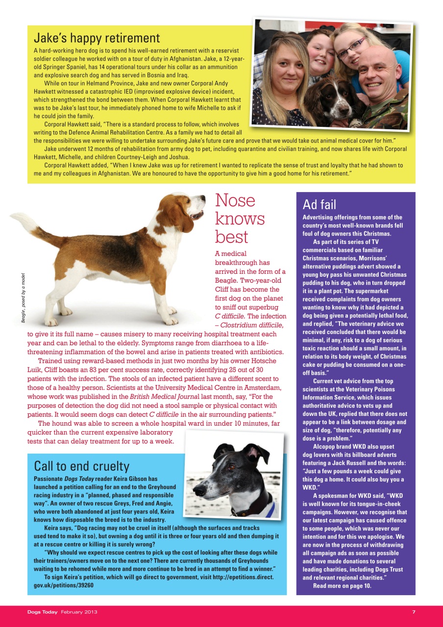Dogs Today Magazine Preview Pages