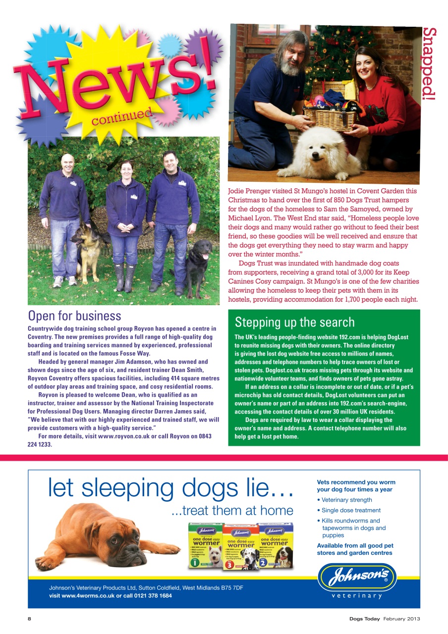 Dogs Today Magazine Preview Pages